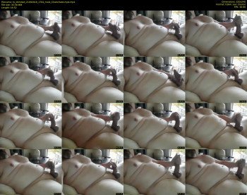 tx_domdad