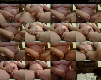 z12bigdick