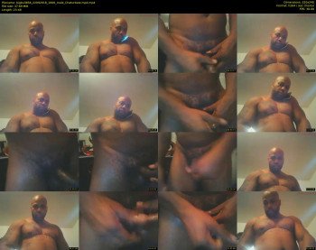 bigbull856