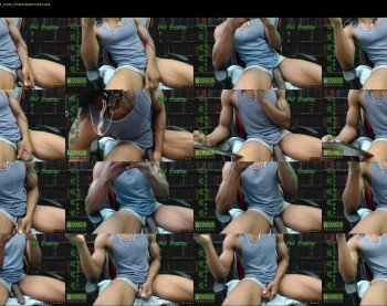 nj_exotic