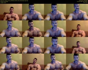 panda_muscle