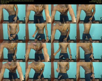 rimay_moss2017