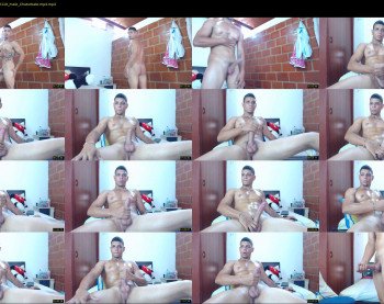 stephalverto