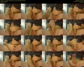 uk_stallion