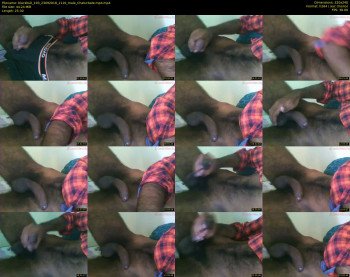 blackbull_193