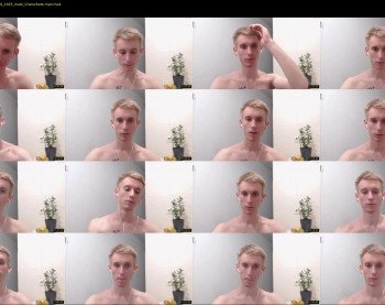your_webfriend
