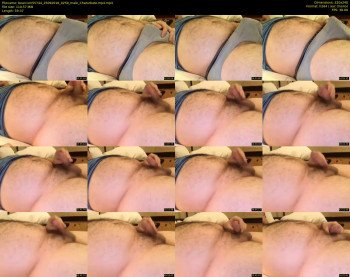 bearcum55744