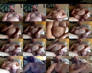 cjbbear