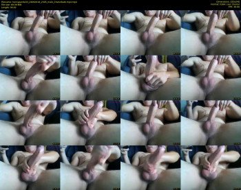 hornypanda33