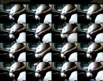 joe_2016