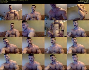 panda_muscle