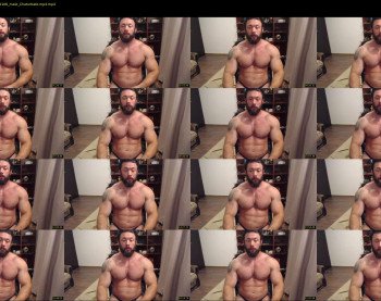 stevebulkzor