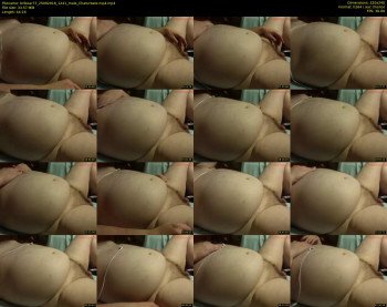 bribear77