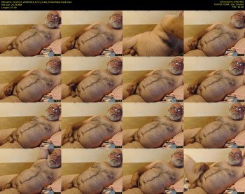 mrjim53