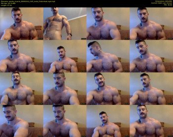 panda_muscle