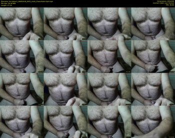 furrybear2