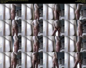 thenakedwindow