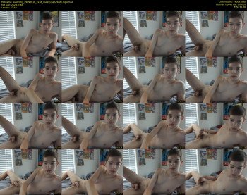 austinshy