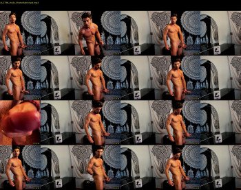 europeangigolo