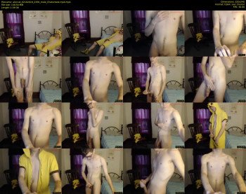 aleccat