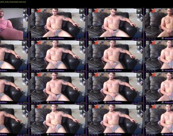 majestikmike