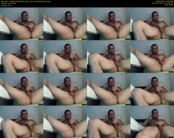 aristihot