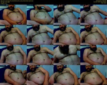 bearsteve75