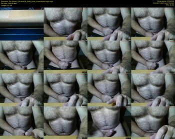 furrybear2