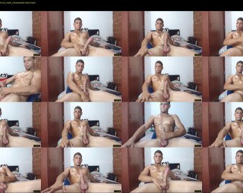 stephalverto