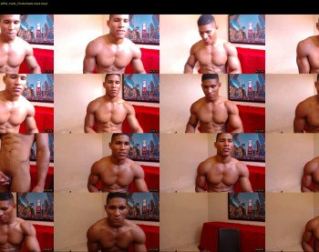 teddyfit19cm