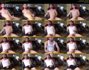 whitemeat321