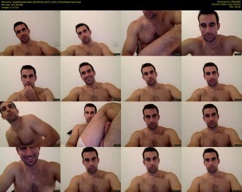 angellonewmodel
