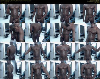 antonyzex9