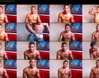teddyfit19cm