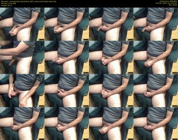 creampiealex