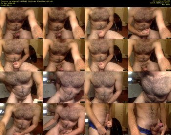 hot_otter292