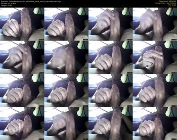 indianbrowncock097
