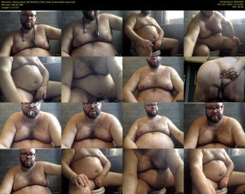 italian_bear