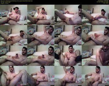 dickshove