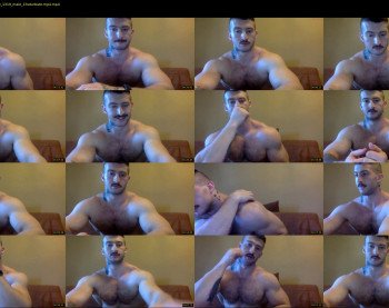 panda_muscle