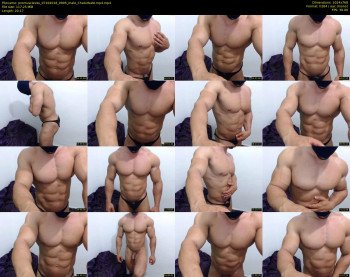 promuscles4u