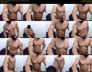 promuscles4u