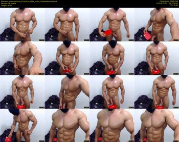 promuscles4u
