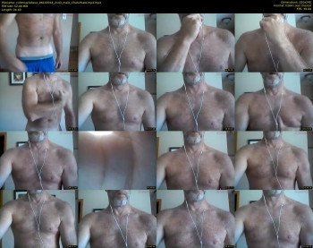 coltmusclebear