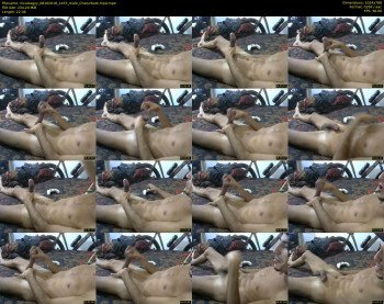 nicolasguy