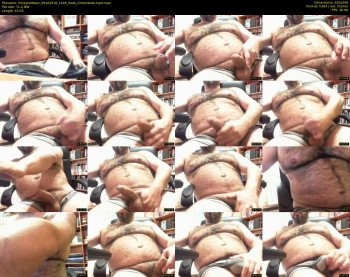 mikeyhotbear