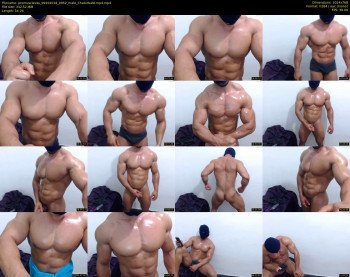 promuscles4u