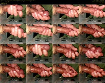 taconightporno