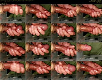 taconightporno