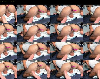bachabazi22